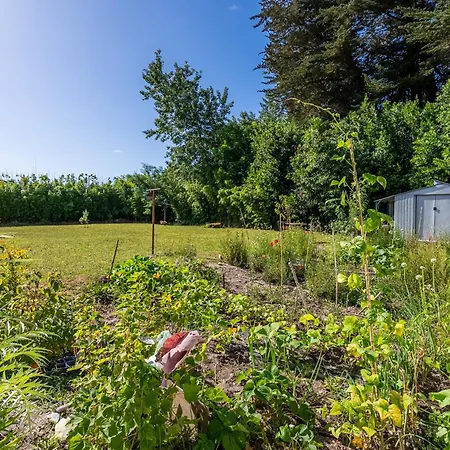 L'océane Médocaine - Grand Jardin 1000 M2 Hébergement de vacances Saint-Vivien-de-Médoc